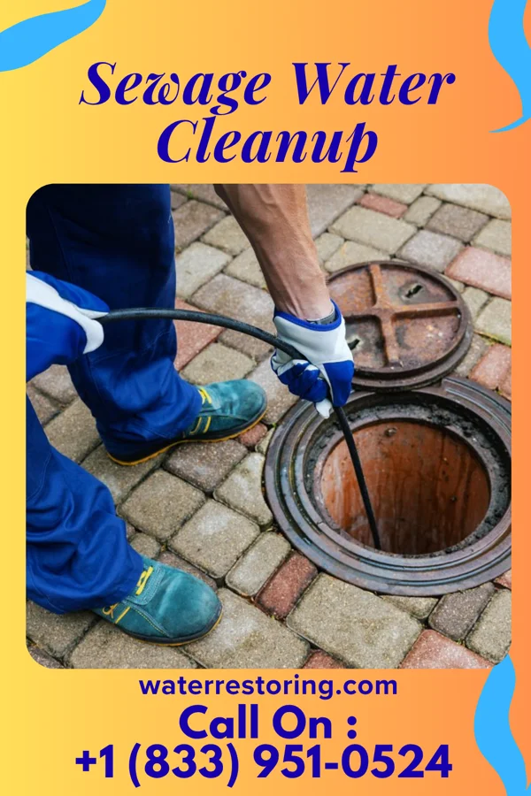 Sewage Water Cleanup in Thatcher, AZ