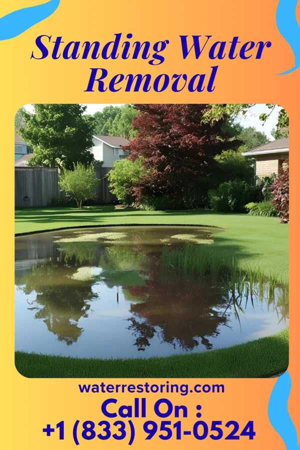 Standing Water Removal in Thatcher, AZ